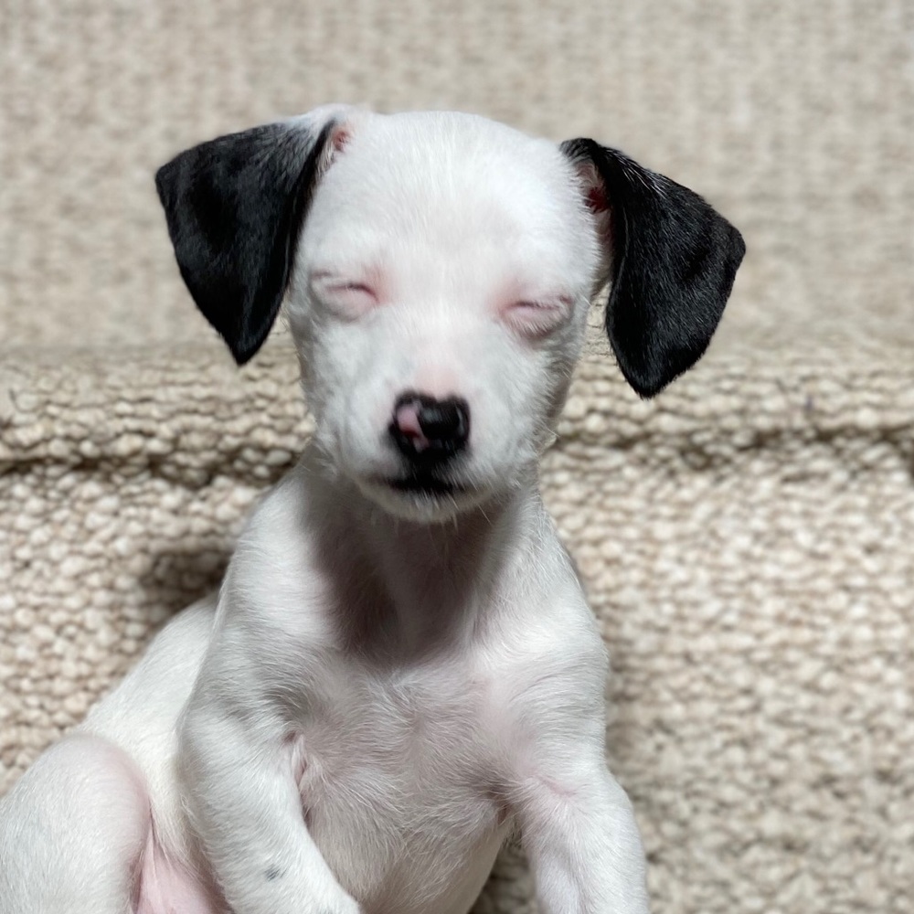 Meet your Posher, Catherine